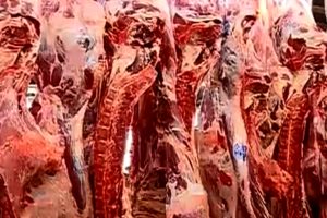قیمت های متفاوت گوشت گوسفند در برخی از قصابی ها