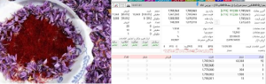 آیا بورس در گرانی فعلی زعفران نقشی داشته است؟